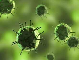 Bacteria causing diseases in which mucous secretions appear